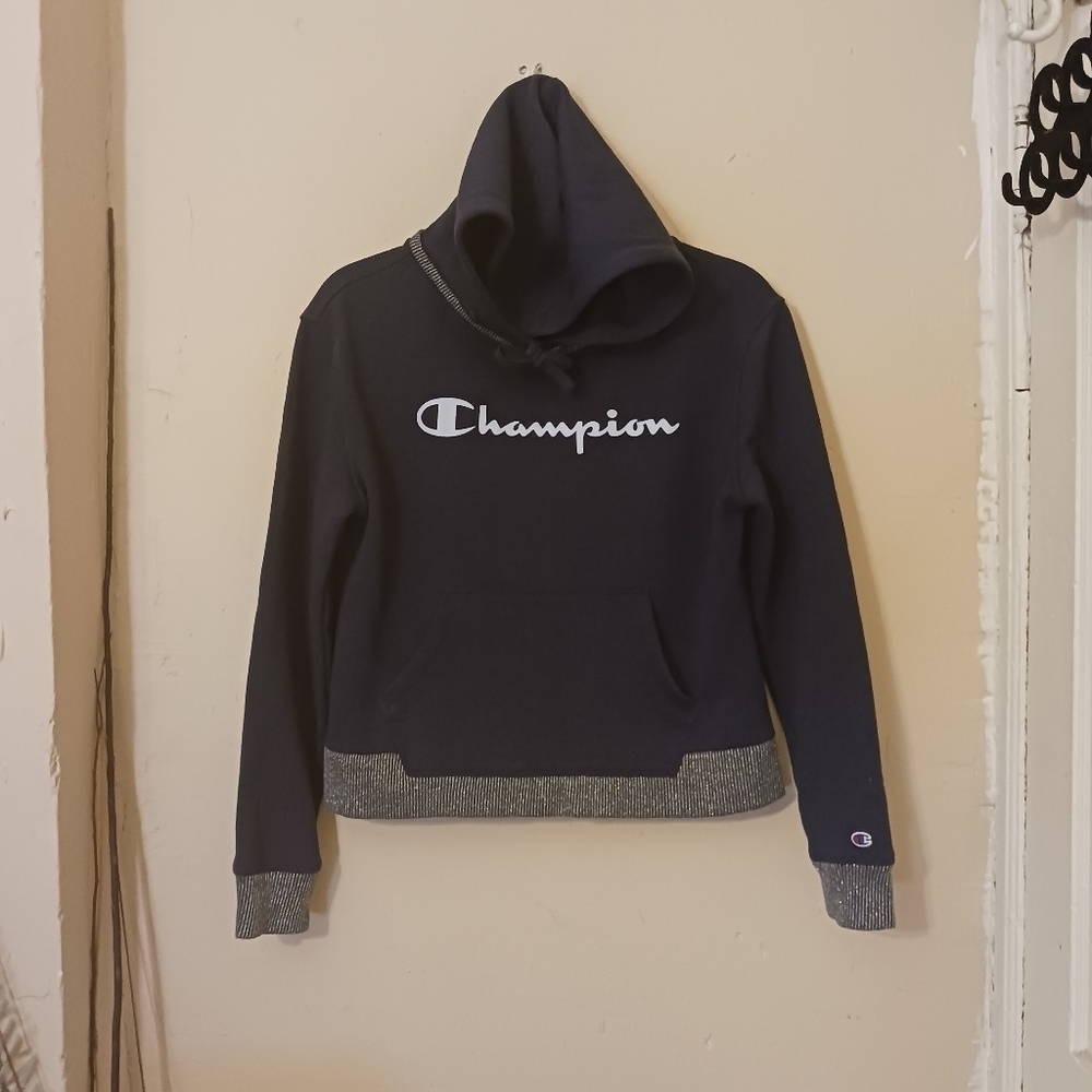 Champion womens pullover long sleeve‎ blue hoodie with silver shimmer size small